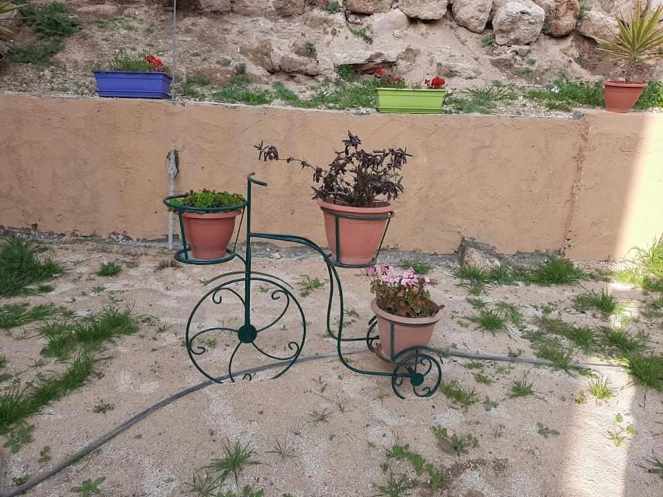 Emile Altwal Madaba Otel Dış mekan fotoğraf
